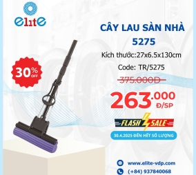 Cây Lau Sàn Nhà 5275