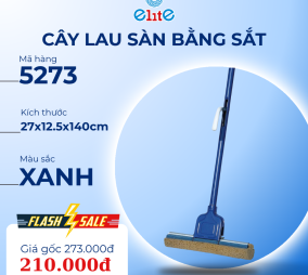 Cây lau sàn bằng sắt 5273