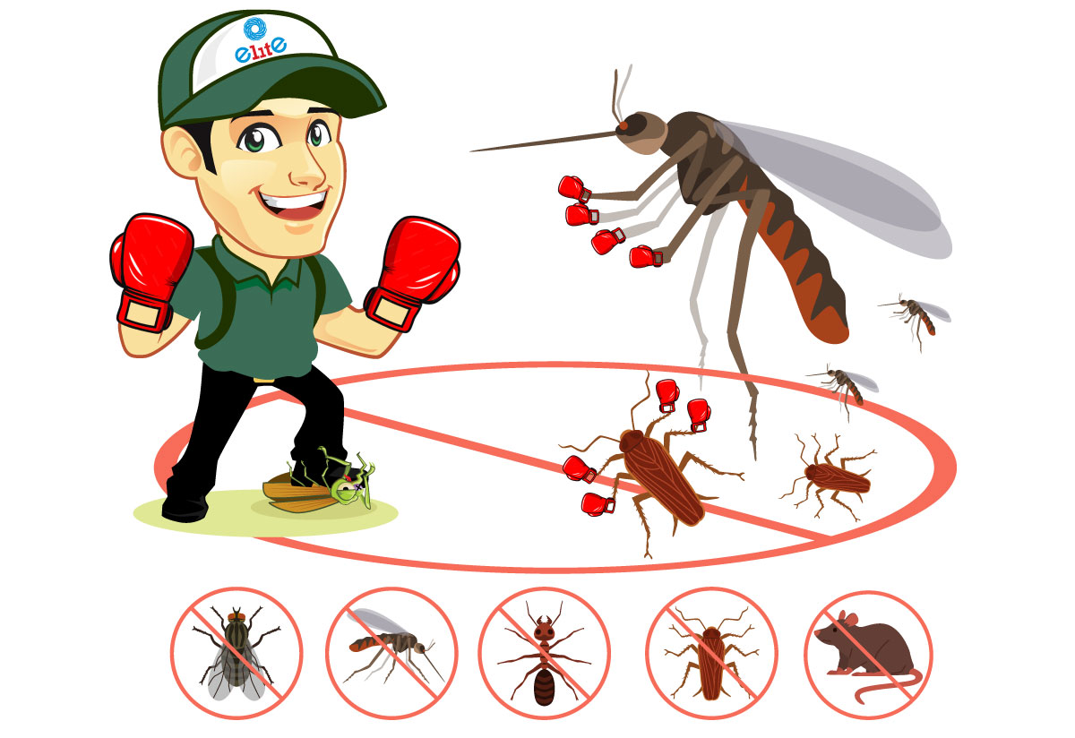 Pest Control là gì? Dịch vụ pest control hoạt động như thế nào?